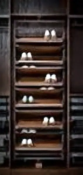 Rotating Shoe Rack (12 Layer)