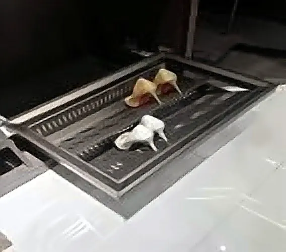 Sliding Shoe Rack (Drawer Type)